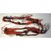 Проводка для стиральной машины Ariston AL109XEU, AB108XIT, AL108XBE, AL68XIT, AL88XEU