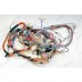 Проводка стиральной машины Candy GV34126TC2-07 31006893